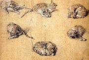 GAINSBOROUGH, Thomas, Six studies of a cat